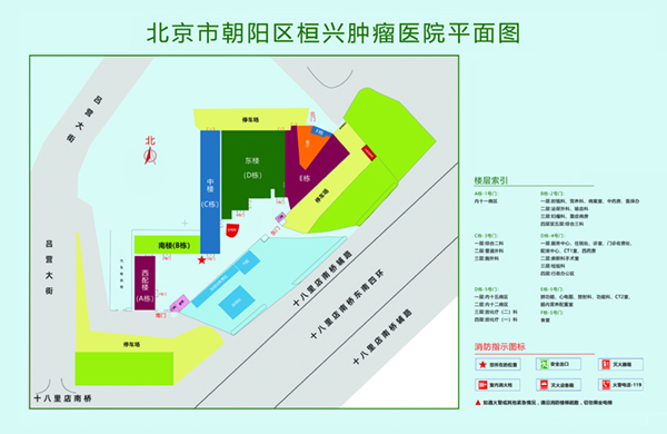 操B视频啊啊北京市朝阳区桓兴肿瘤医院平面图